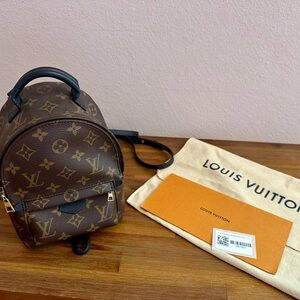 Louis Vuitton Monogram Palm Springs Mini Backpack